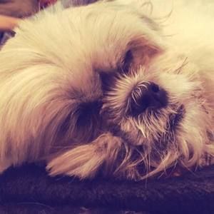 Meet your Posher, Jade